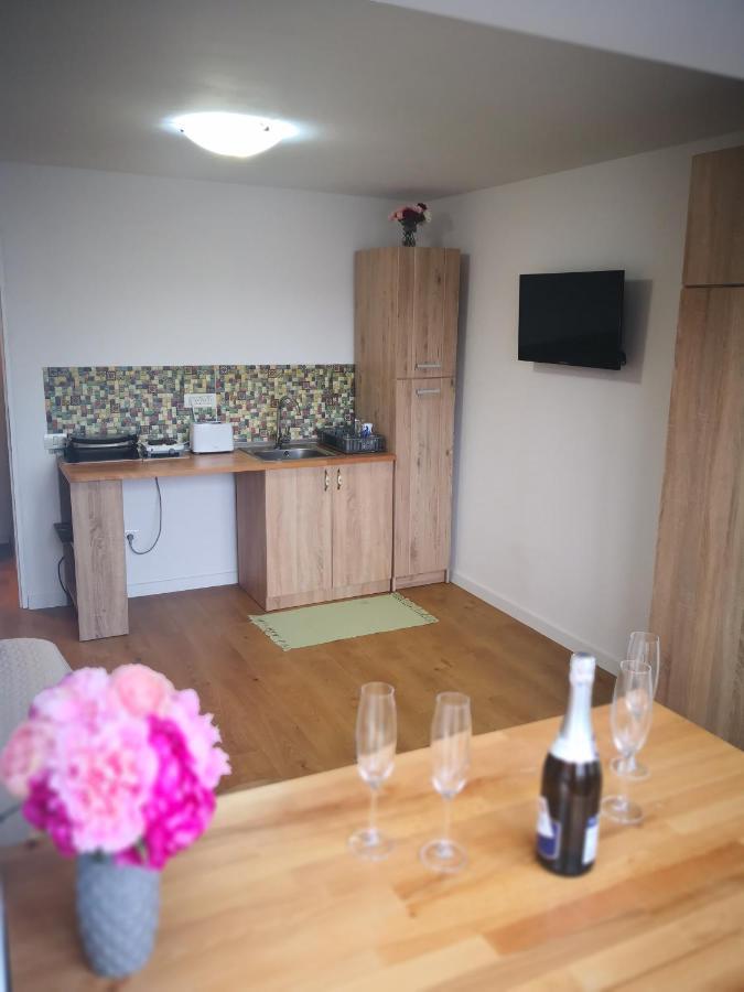 Apartament Mateo Apartment Timisoara Bagian luar foto